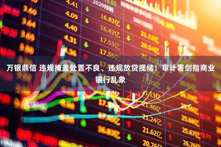 万银鼎信 违规掩盖处置不良、违规放贷揽储！审计署剑指商业银行乱象