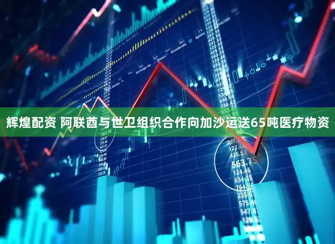 辉煌配资 阿联酋与世卫组织合作向加沙运送65吨医疗物资