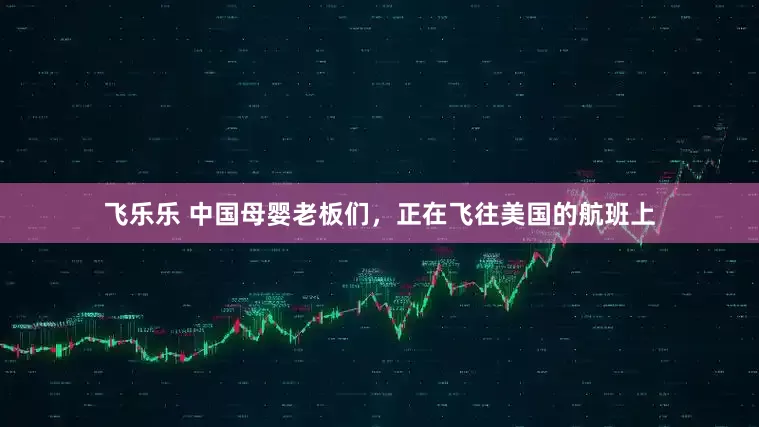 飞乐乐 中国母婴老板们，正在飞往美国的航班上