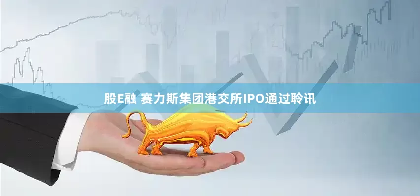 股E融 赛力斯集团港交所IPO通过聆讯