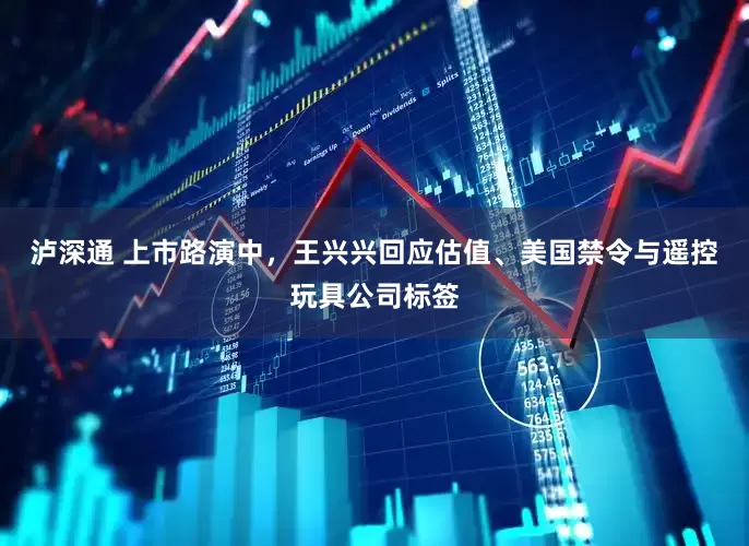 泸深通 上市路演中，王兴兴回应估值、美国禁令与遥控玩具公司标签